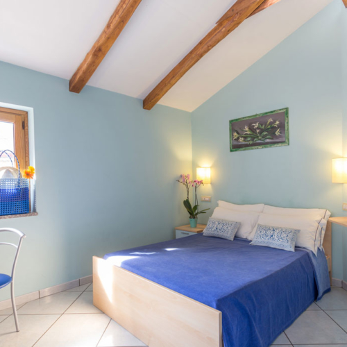 Iris-slider-camere-homepage