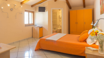 Tulipano-Slide-camere-home